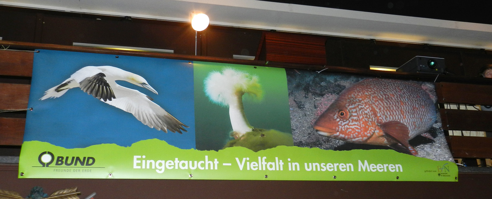 Banner mit Oesen